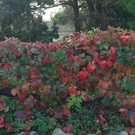 Holiday home Lantana *